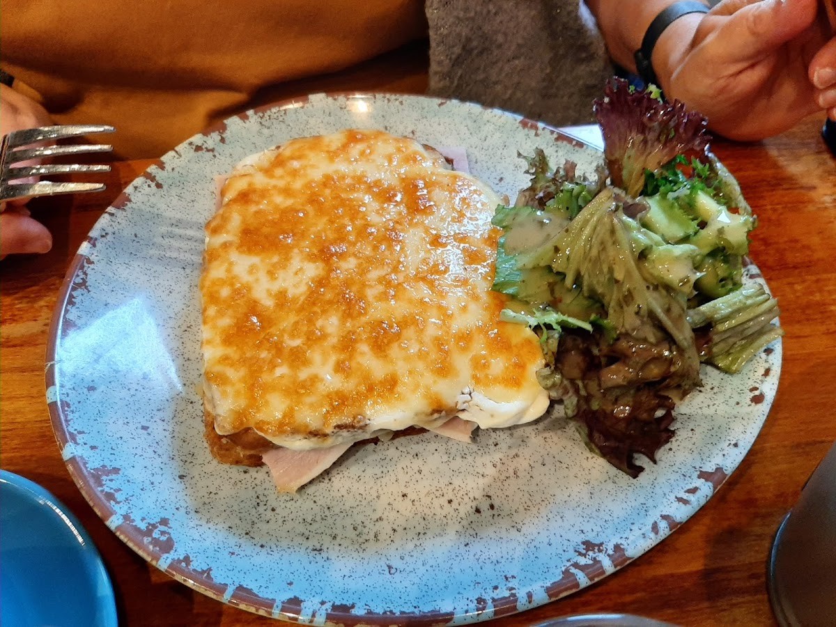 Lunch